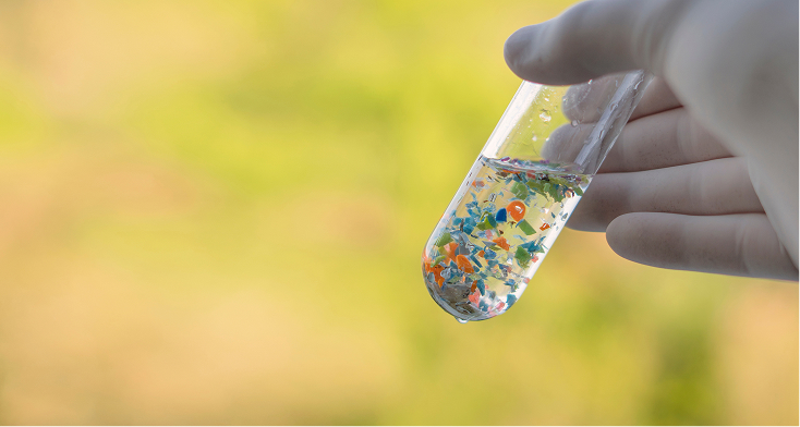 Ecotoxicological Bioassays