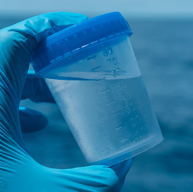 Biomarker studies and sublethal effects