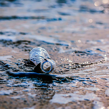 Marine pollution from metals and pesticides